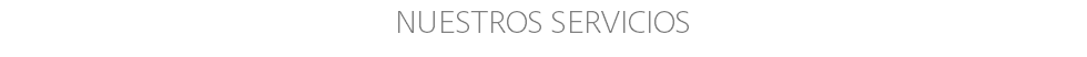 NUESTROS SERVICIOS